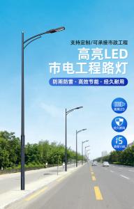 四川道路灯系列 承接市政路灯安装工程 厂家批发直销